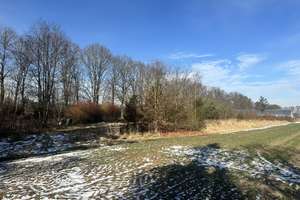 NEUWARMBÜCHEN (FELDRAND): FREISTEHENDES HOLZSTÄNDERHAUS MIT EINLIEGER-WHG AUF PARKÄHNL. GRUNDSTÜCK – Die vollständige Adresse der Immobilie erhältst du vom Anbieter., 30916 Isernhagen – Vorschaubild 9