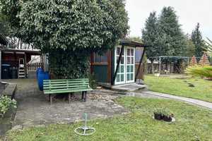 Großzügiges Zuhause mit Gartenidylle – Oberspreewald-Lausitz (Kreis) – Vorschaubild 15