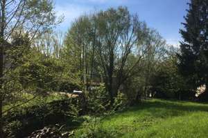 Einfamilienhaus mit 8 Zimmern und Garage in Aschaffenburg-Damm – Haselmühlweg 9, 63741 Damm, Aschaffenburg – Vorschaubild 5