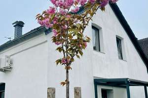 Umfangreich saniertes Einfamilienhaus mit großem Grundstück in Duisburg-Homberg – Die vollständige Adresse der Immobilie erhältst du vom Anbieter., 47198 Hochheide, Duisburg – Vorschaubild 24