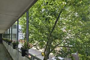 Erstbezug nach Sanierung: 1-Zimmer-Single-Appartment – Talbotstraße 6, 52068 Aachen – Vorschaubild 5