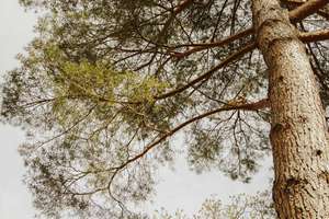 Property thumbnail 22