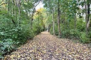 Property thumbnail 23