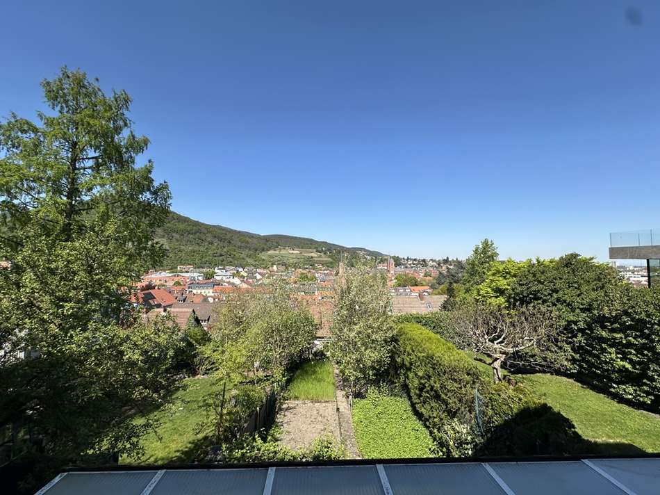 Fernblick