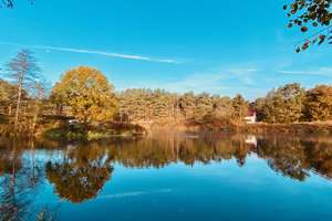 Property thumbnail 23