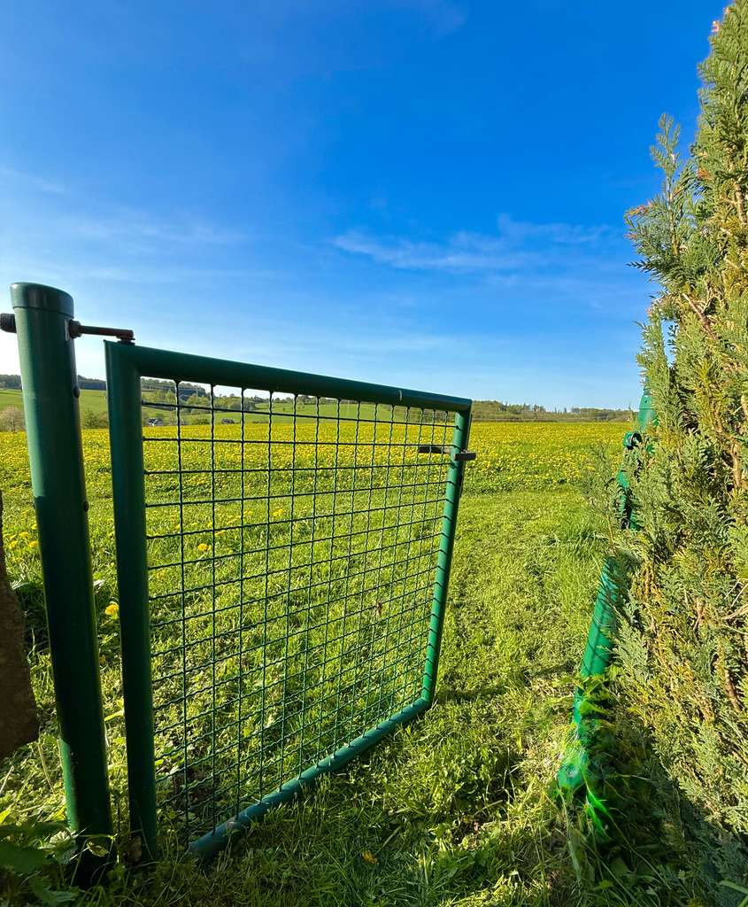 Immobilie in Kierspe - Wo Träume ein Zuhause finden! Wellness trifft Wohnkultur! - Bild 4