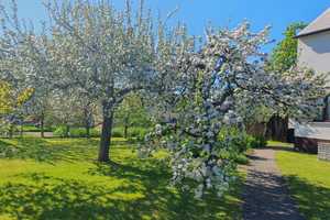 Großes EFH voll unterkellert weitläufiger Garten – Barnim (Kreis) – Vorschaubild 9