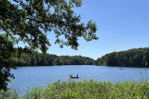 Property thumbnail 19