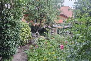 Schmuckstück in zentraler Lage von Pirmasens mit Wintergarten – Höhstraße 30, 66955 Pirmasens, Pirmasens – Vorschaubild 18