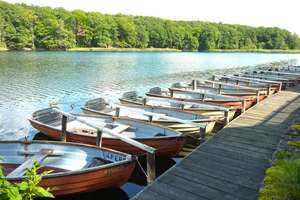 Property thumbnail 18