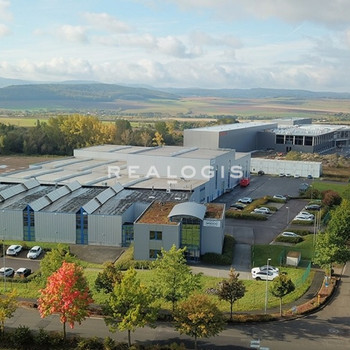 Ca. 7.400 m² |  Lager- / Produktionsfläche zu vermieten | Kranbahn 20t