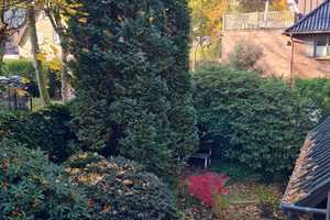 Begehrte Lage in Blankenese -
willkommen in den Hamburger Elbvororten – Hamburg – Vorschaubild 12