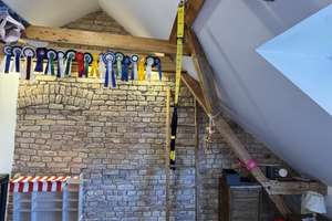 *RESERVIERT* Stilvolles Wohnen in der ruhigen Hufeisensiedlung  – Die vollständige Adresse der Immobilie erhältst du vom Anbieter., 12359 Britz, Berlin – Vorschaubild 12