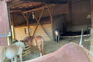 Renoviertes Bauernhaus mit Scheune und großem Grundstück in Lebach - Niedersaubach – Saarlouis (Kreis) – Vorschaubild 17
