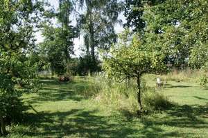 Landliches Domizil mit viel Grün! – Die vollständige Adresse der Immobilie erhältst du vom Anbieter., 2994 Wiednitz – Vorschaubild 14