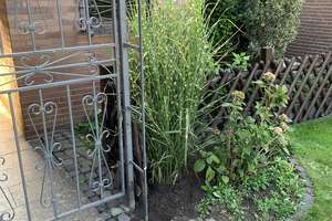 Property thumbnail 25