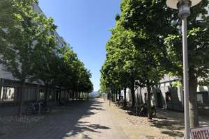 Property thumbnail 15