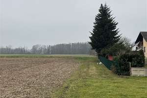 Attraktives Grundstück mit Perspektive: Sanieren oder neu entwickeln – 77836 Rheinmünster – Vorschaubild 3