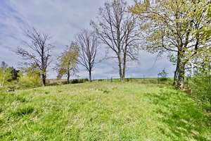 Platz für Familie. Raum für Zukunft. Aussicht fürs Leben – Die vollständige Adresse der Immobilie erhältst du vom Anbieter., 56651 Niederzissen – Vorschaubild 5