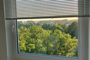 Waldrandlage & Seeblick – Brüder-Grimm-Straße 34, 38448 Tiergartenbreite, Wolfsburg – Vorschaubild 11