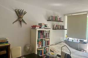 Alltagstaugliche 1-Zimmer-Wohnung in Köln-Rodenkirchen