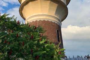 Historischer Wasserturm mit vielen Nutzungsmöglichkeiten