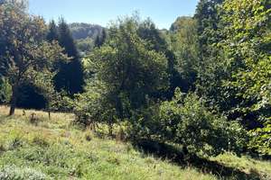 Handwerkerobjekt mit 2.829 m² Grundstück, Werkstatt und viel Potenzial im Bayerischen Wald – 94538 Fürstenstein – Vorschaubild 30