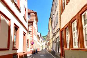 Großzügiges, historisches Stadthaus mit Garten und Weitblick in der Heidelberger Altstadt – Die vollständige Adresse der Immobilie erhältst du vom Anbieter., 69117 Altstadt, Heidelberg – Vorschaubild 30
