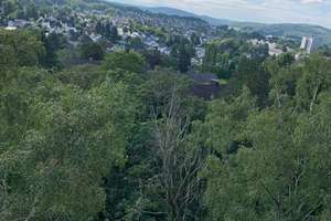 renovierte 3-Zimmer Wohnung mit Balkon und Gartenblick im Hochschulviertel. – Roggenkamp 9 1, 58095 Hochschulviertel, Hagen – Vorschaubild 3
