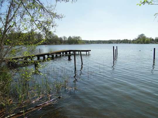 Massives Haus auf großem, bereits geteiltem Waldgrundstück, nahe Krüpelsee in Zernsdorf - Bild 18