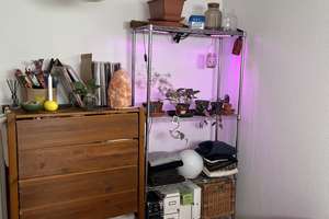 Helle 2-Zimmer Wohnung in Frankfurt am Main – 60528 Niederrad, Frankfurt am Main – Vorschaubild 2