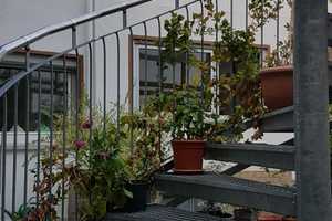 Großzügiges EFH mit Anbau in Karben Rendel – Wetteraukreis – Vorschaubild 4