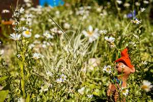 Willkommen zu Hause... kleiner Garten & 20m² Wintergarten inklusive! – Ostlandstraße 16, 38442 Mörse, Wolfsburg – Vorschaubild 8