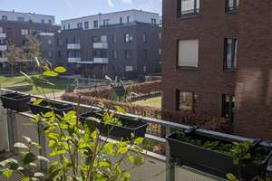 Property thumbnail 13