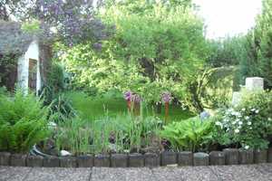 Schöner Garten, ruhige Lage, gute Verkehrsanbindung! – Augsburg – Vorschaubild 6