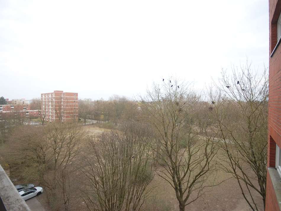 Ausblick
