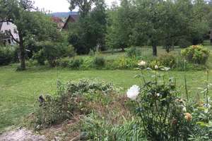 Großes, schönes Haus mit traumhaftem Garten – Fürstenwaldstraße 13, 74564 Crailsheim – Vorschaubild 9