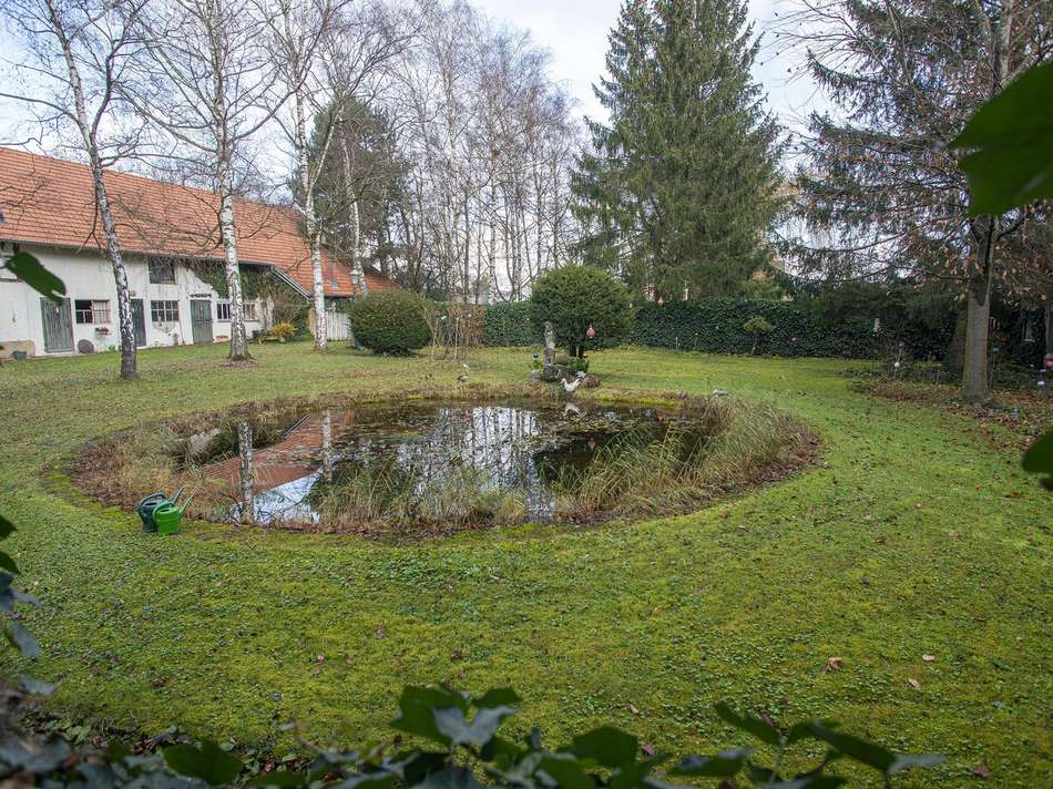 Seerosenteich, Garten, Scheuer