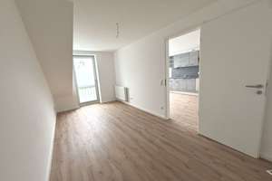 ERSTBEZUG NACH SANIERUNG! Schöne 2-Zimmer-Wohnung  in Bonn-Poppelsdorf!! Ruhelage! – Die vollständige Adresse der Immobilie erhältst du vom Anbieter., 53115 Poppelsdorf, Bonn – Vorschaubild 4