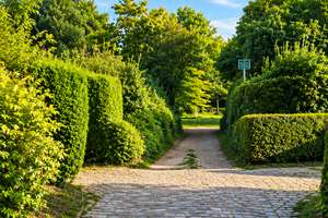 Stadthaus im Bungalowstil mit überdachter Sonnenterrasse, Garten und neuer Küche  – Kopenhagener Straße 22, 18107 Lütten Klein, Rostock – Vorschaubild 13