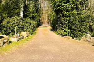 Villa im großen Naturpark mit eigenem Wald – Die vollständige Adresse der Immobilie erhältst du vom Anbieter., 48291 Telgte – Vorschaubild 7