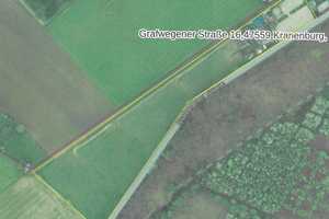 Pferderanch mit drei Wohneinheiten und 2Ha Weideland direkt am Reichswald. – Grafwegenerstraße 16, 47559 Kleve (Kreis) – Vorschaubild 63