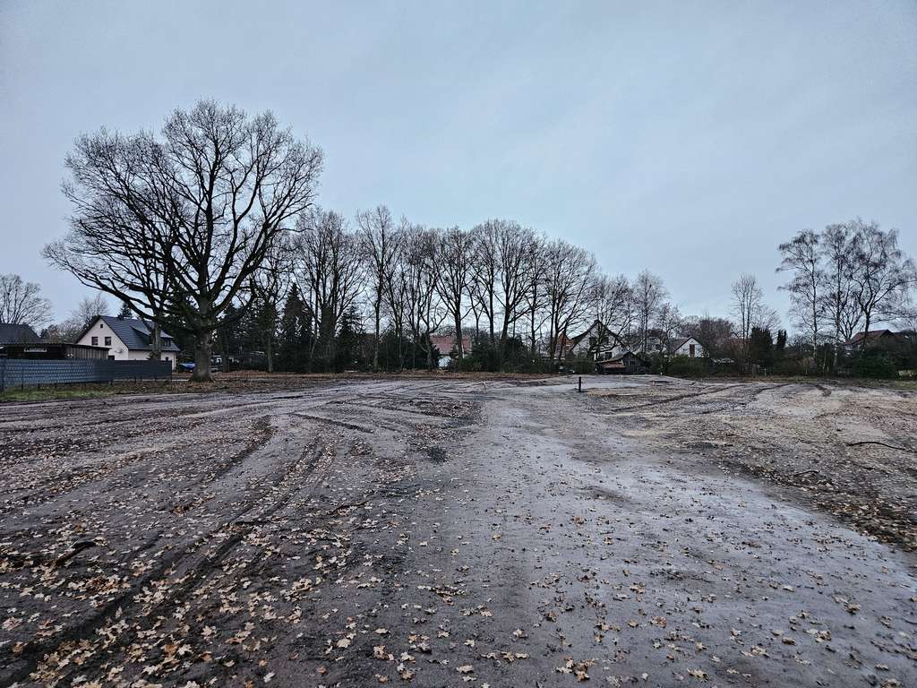 Immobilie in Rodewald - Inkl. Grundstück, ein Komforthaus für jedermann in Rodewald. - Bild 3