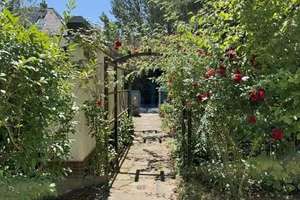 Leben auf der Haveldüne, Einfamilienhaus mit großem Garten in einzigartiger Lage! – Die vollständige Adresse der Immobilie erhältst du vom Anbieter., 13595 Wilhelmstadt, Berlin – Vorschaubild 36