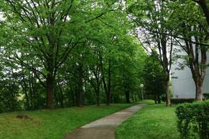 Property thumbnail 17