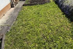 2-FH DHH mit schönen, großzügigen und sonnigen Gartenanteil sucht neuen Besitzer – Rems-Murr-Kreis – Vorschaubild 6