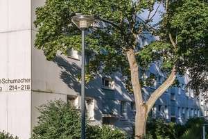 Stadtnah und naturnah – Ihre neu modernisierte Wohnung in Wolfsburg-Detmerode – Kurt-Schumacher-Ring 218, 38444 Detmerode, Wolfsburg – Vorschaubild 4