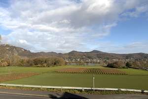 Modernisierte Doppelhaushälfte in Bonn-Mehlem- Rheinblick, Garten & viel Potenzial – Die vollständige Adresse der Immobilie erhältst du vom Anbieter., 53179 Mehlem, Bonn – Vorschaubild 14