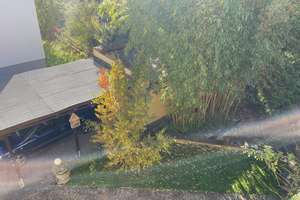 Großzügiges Mehrfamilienhaus mit zwei Gebäuden in Bergen-Enkheim – Die vollständige Adresse der Immobilie erhältst du vom Anbieter., 60388 Bergen-Enkheim, Frankfurt am Main – Vorschaubild 16