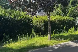 Baue dein neues Haus in Erkner – Drosselstieg  8, 15537 Oder-Spree (Kreis) – Vorschaubild 8